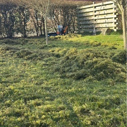 Fjernelse af mos som en del af haveservice i Ringsted