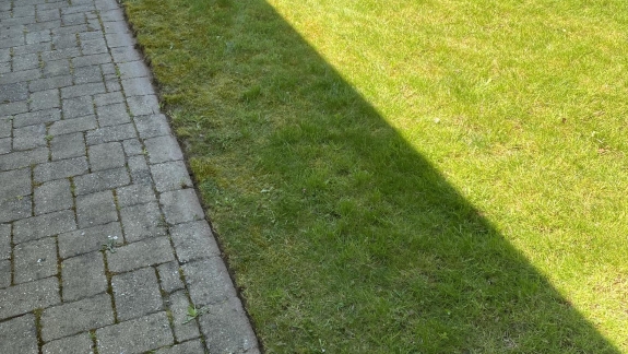 Flot nyslået græsplæne i Køge