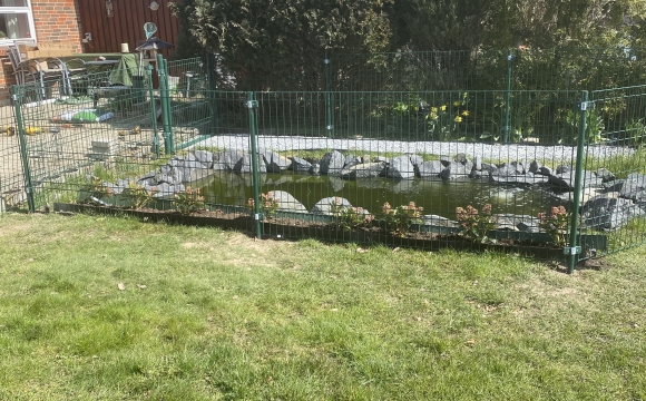 grønt hegn omkring vandhul